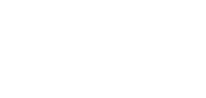 Wiser Tax Logo White